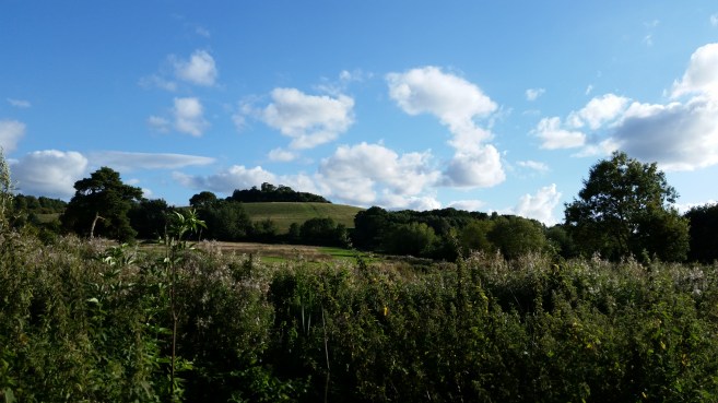 One of the Wittenham Clumps